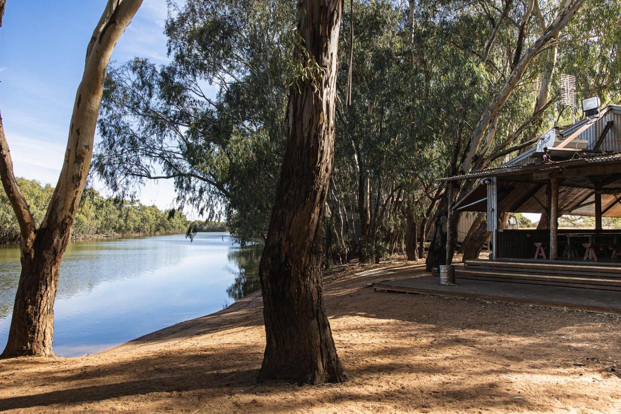 Hotel Nyngan Riverside Tourist Park Exterior foto